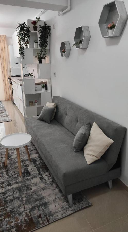 Ego Residence Apartment Κλουζ-Ναπόκα Εξωτερικό φωτογραφία